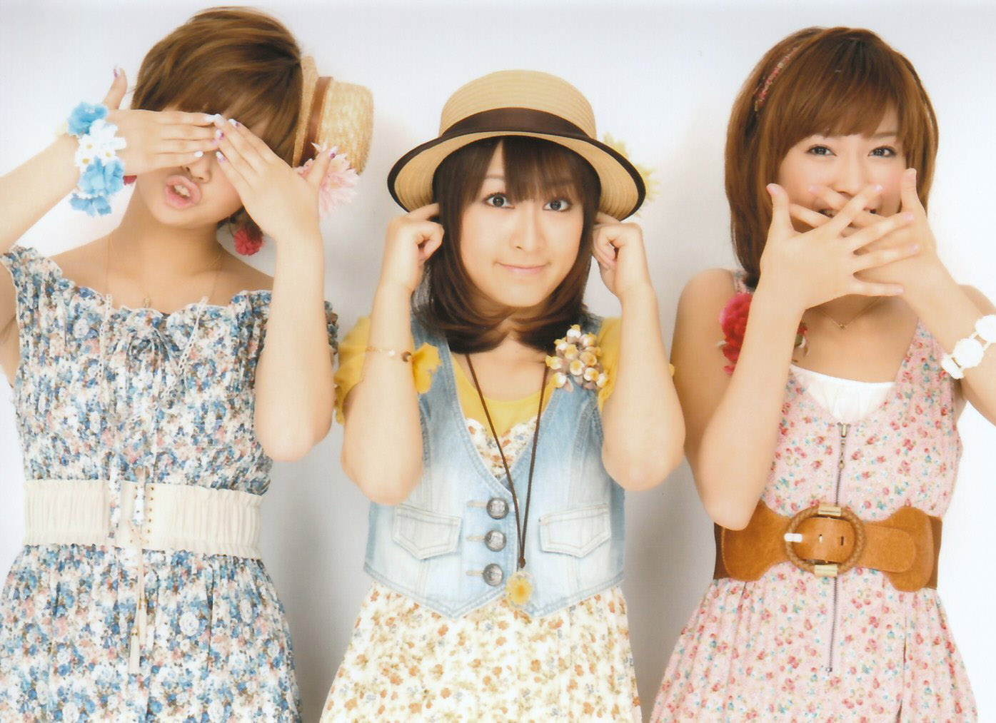 Wota in Translation » Your unpopular opinions on H!P that you keep secret  from everyone
